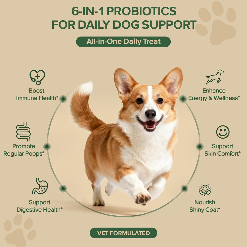 VientoSeek Probióticos para perros, bocaditos de pato, sabor atractivo para perros exigentes.