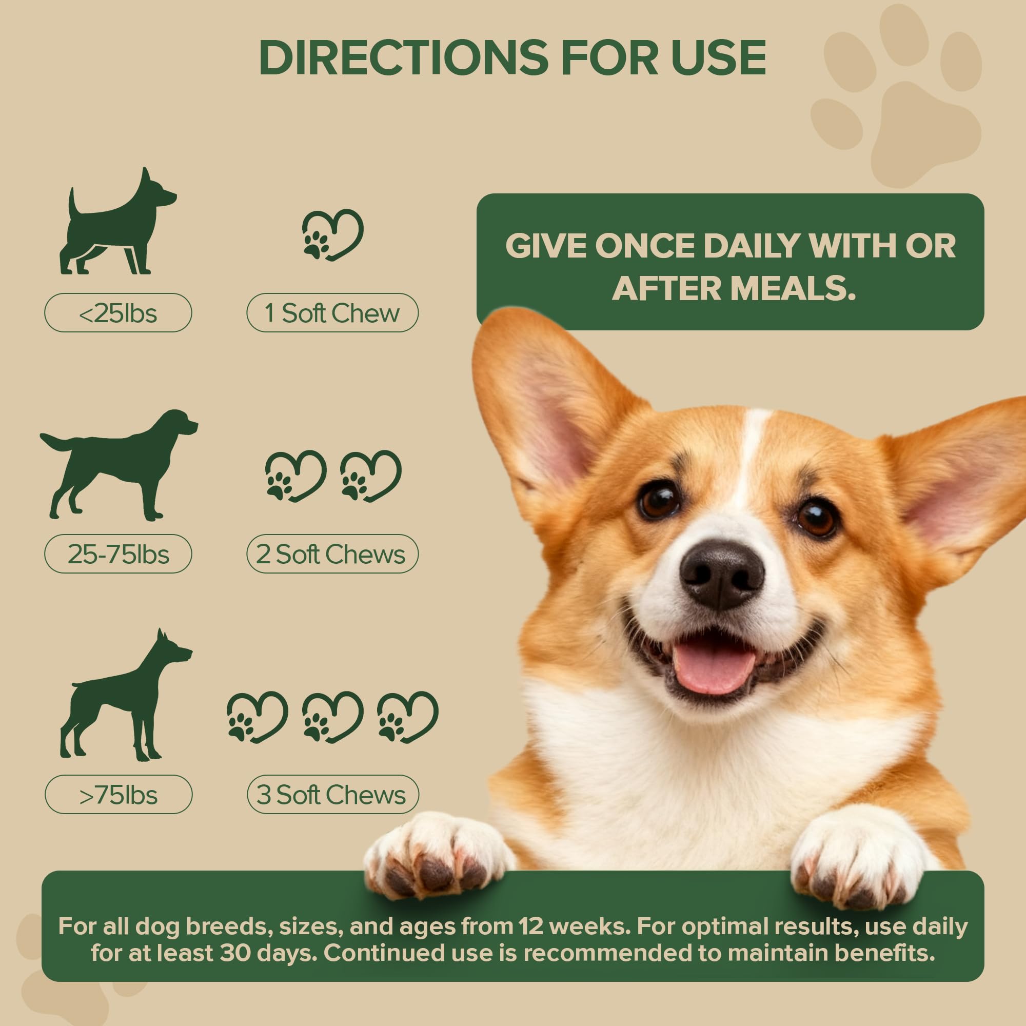 VientoSeek Probióticos para perros, muestra de pelaje saludable, cuidado del pelaje desde adentro.