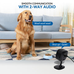Viigytek audio dos vías facilita comunicación directa con familiares o mascotas.