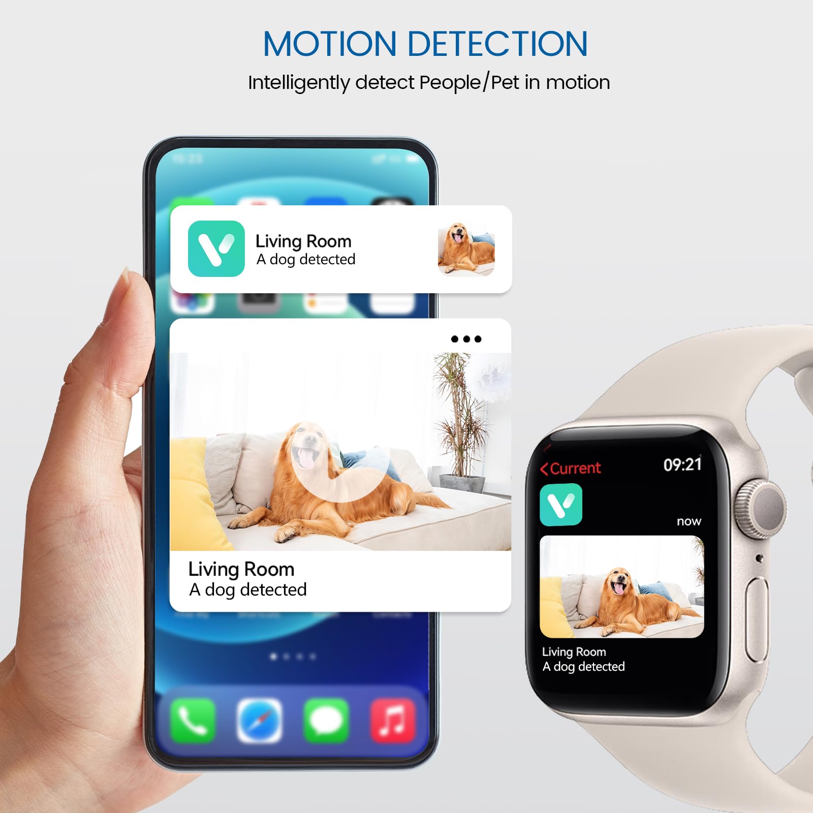 Viigytek detección IA: zonas personas para alertas precisas.