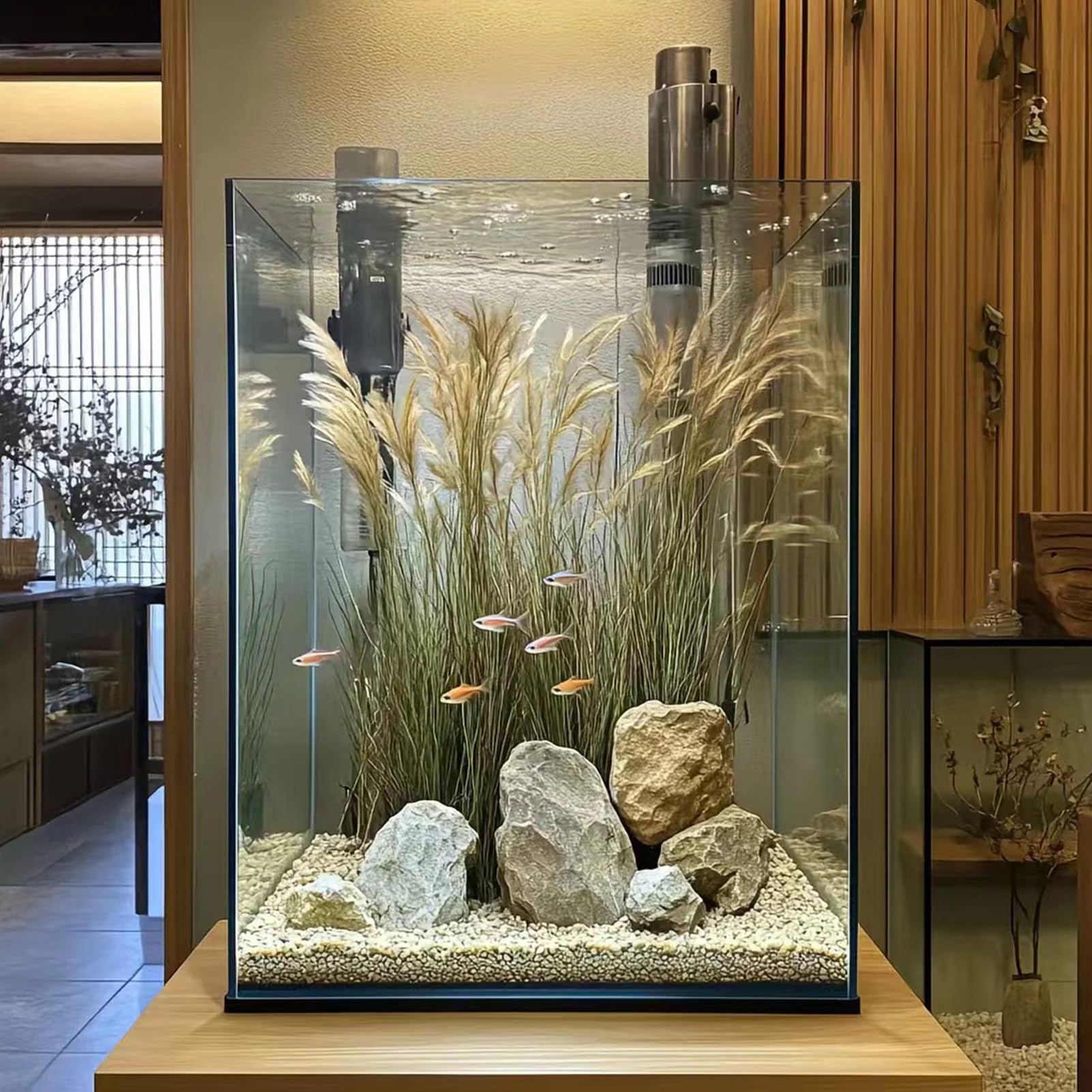 Uso multifuncional Vimvins, ideal como acuario o tanque ecológico.