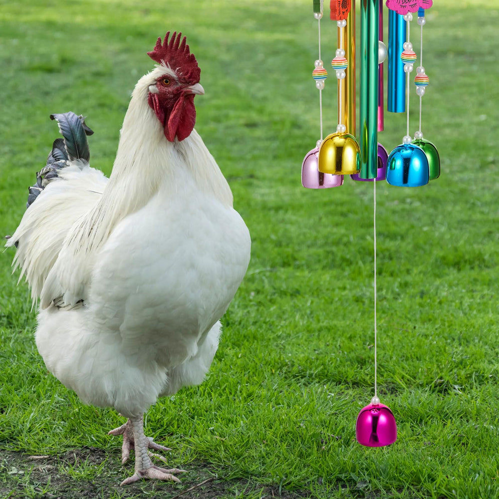 Decoración gallinero externo de VioraWhite para aves y periquitos.
