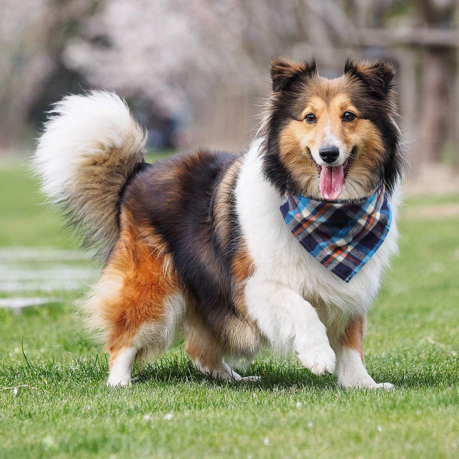 VIPITH bandana para perro, triángulo de cuadros azul oscuro: para fiestas y sesiones