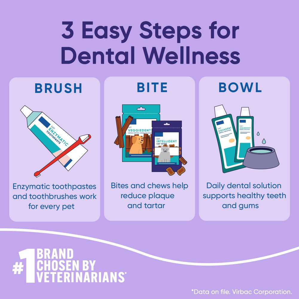 Tres bocados al día pueden apoyar la rutina dental.