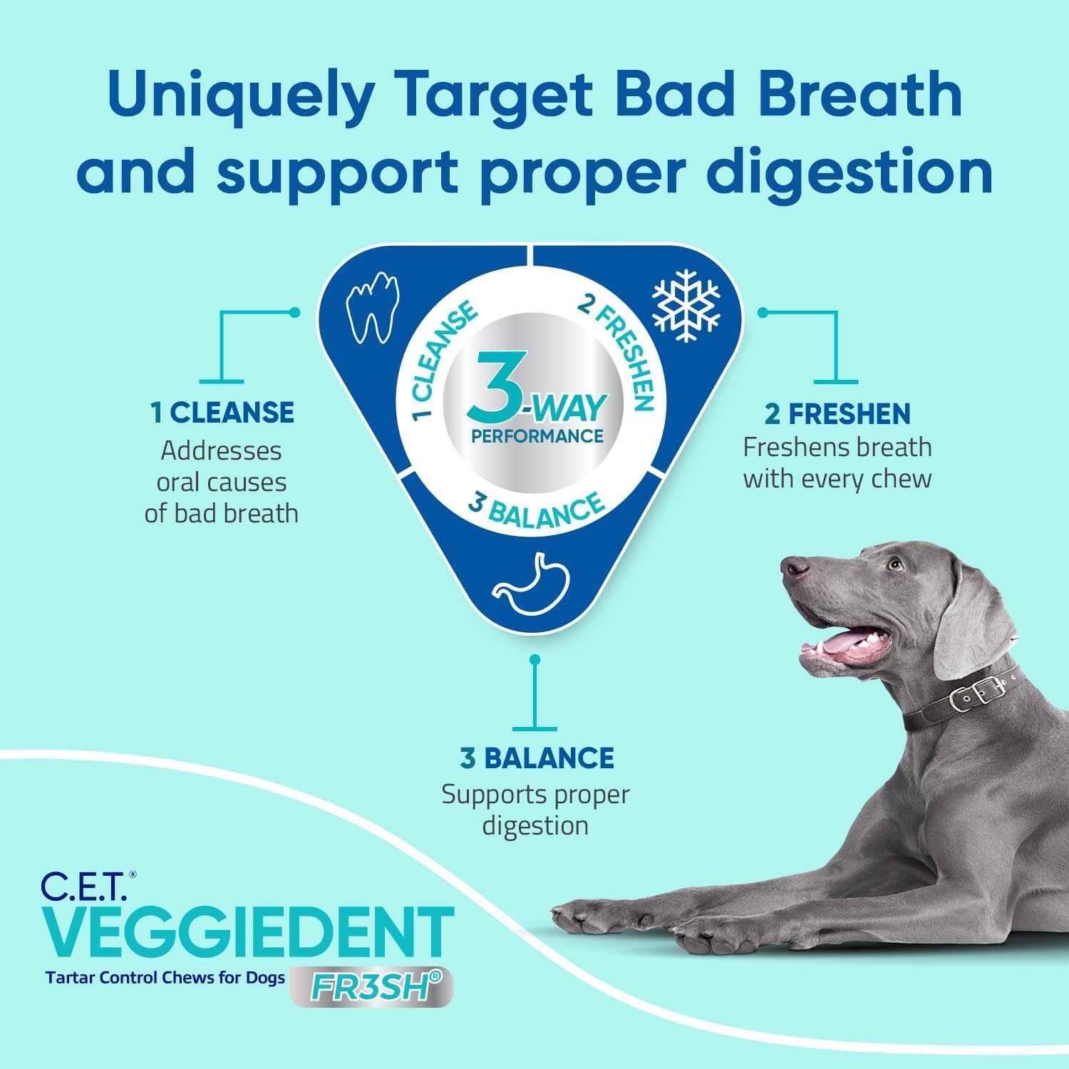 Virbac Veggiedent FR3SH base vegetal sin carne para perros grandes.