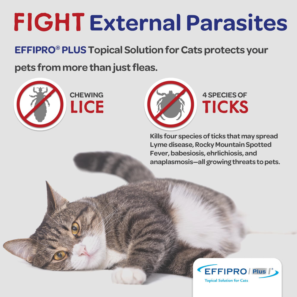 Virbac Effipro Plus, aplicación sencilla en una sola dosis que resiste al agua.