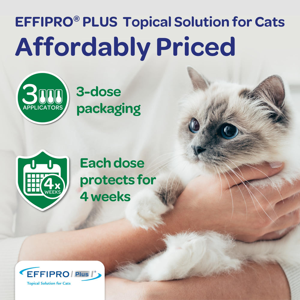 Virbac Effipro Plus, precaución: no usar solución canina en gatos.