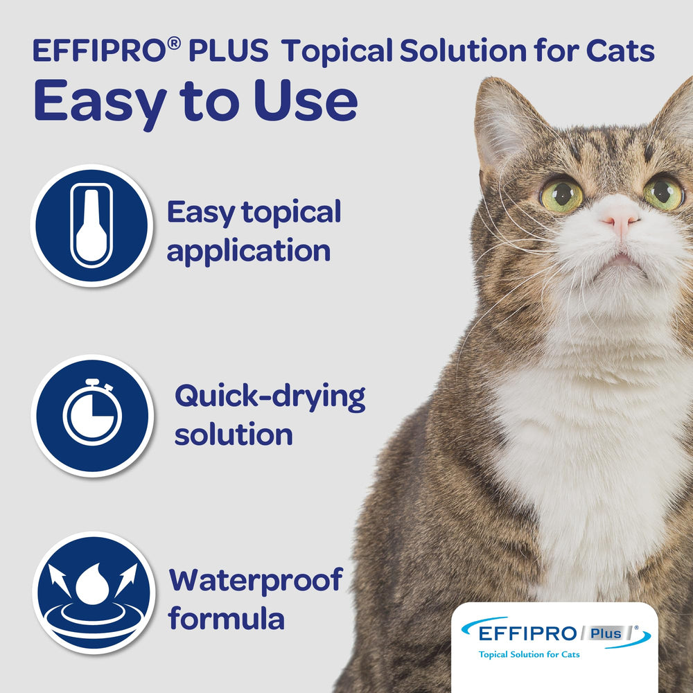 Virbac Effipro Plus, no caduca: fecha de fabricación en el empaque.