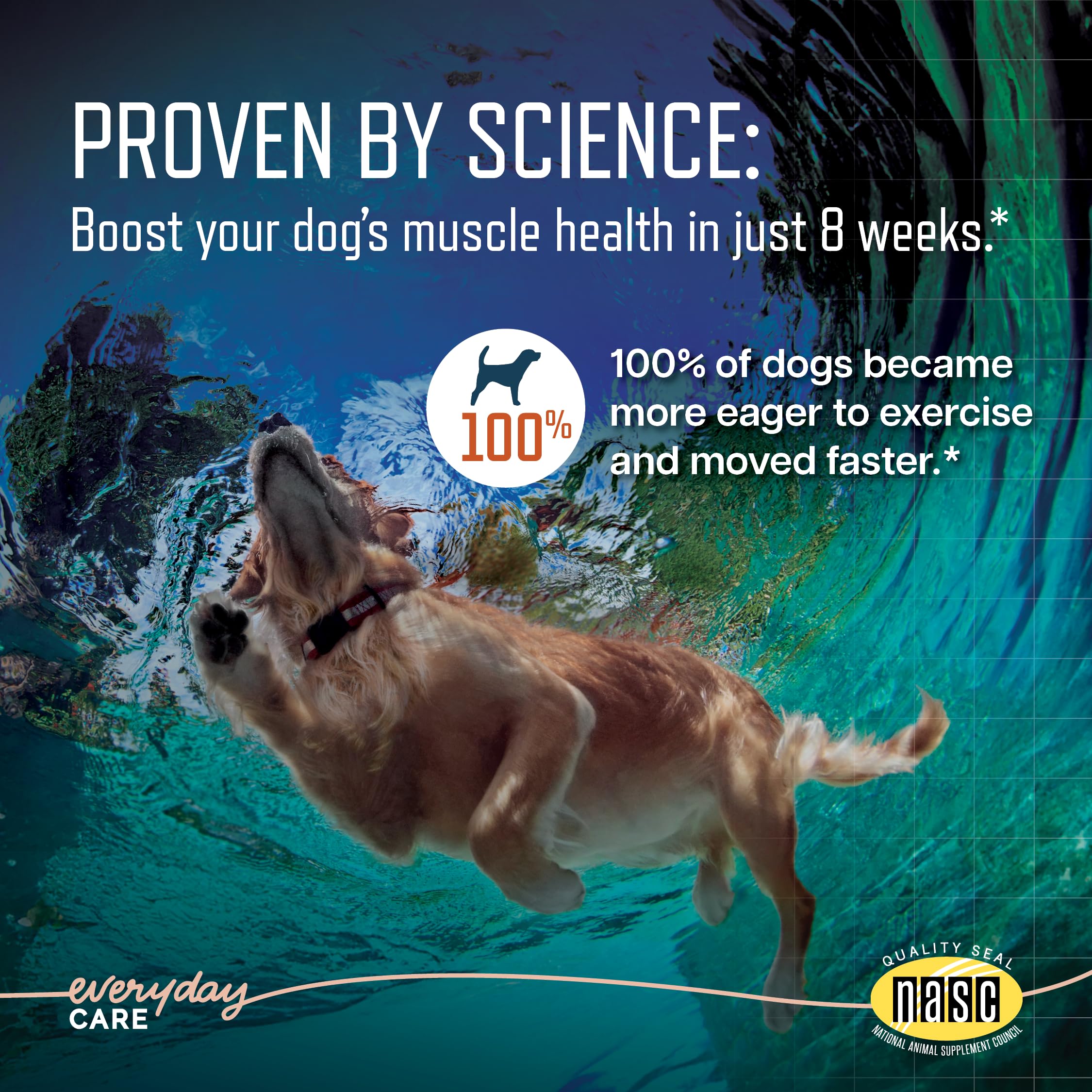 Virbac URSOLYX masticables en textura suave, fácil de administrar para perros.
