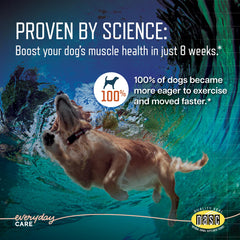 Virbac URSOLYX masticables en textura suave, fácil de administrar para perros.