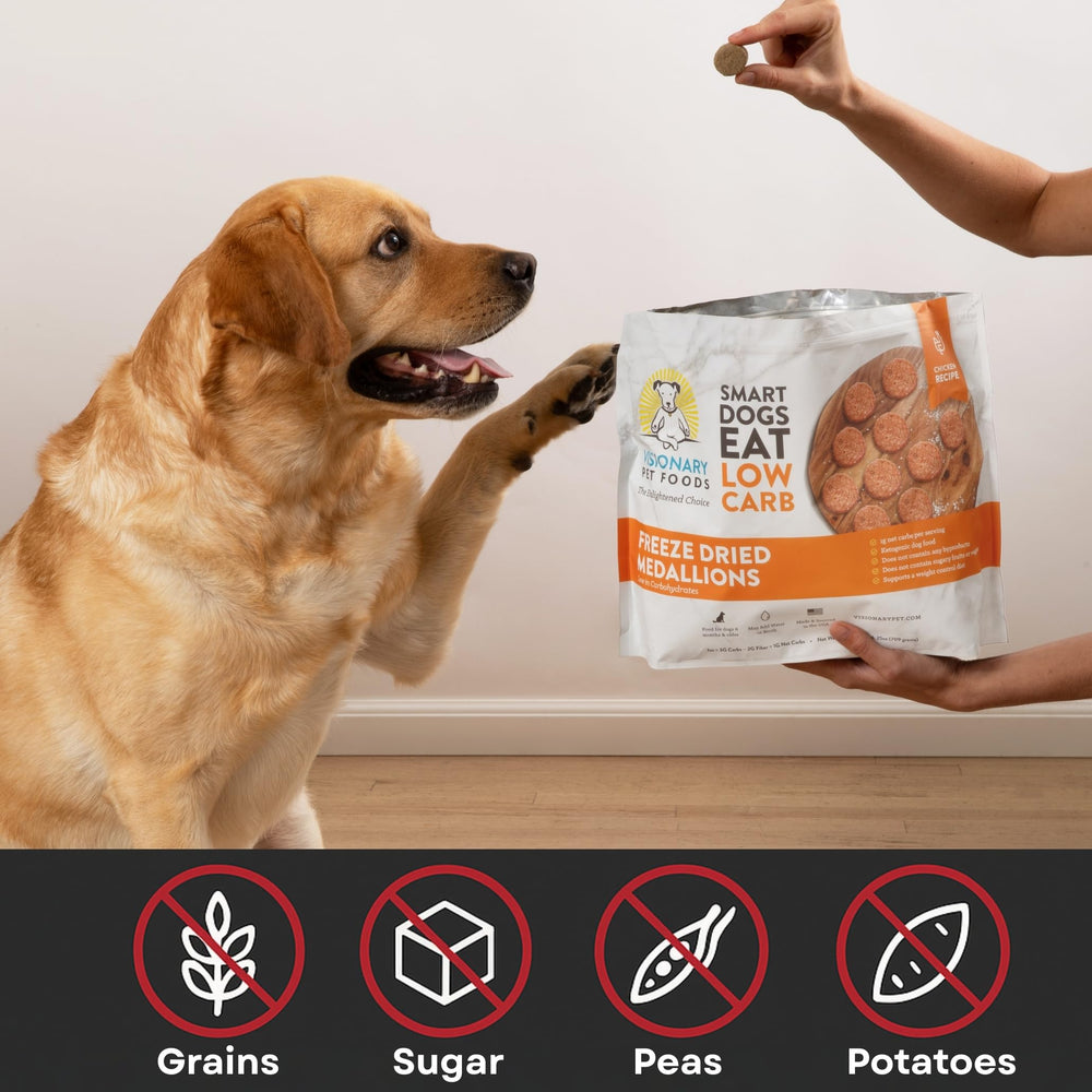 Visionary Pet Foods, ayuda a mantener energía diaria en perros activos.