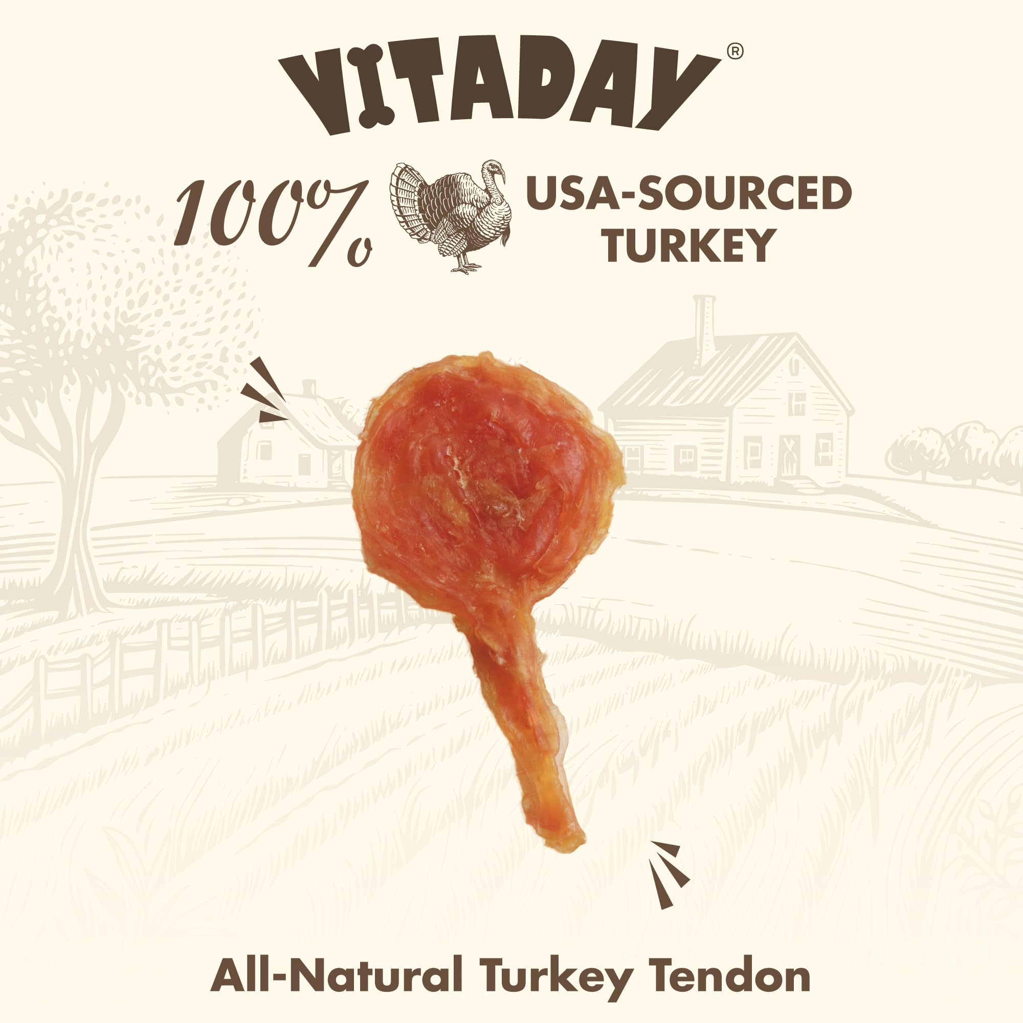 VITADAY tendones-pavo-lollipop-sin-granos, opción hipoalergénica para estómagos sensibles.