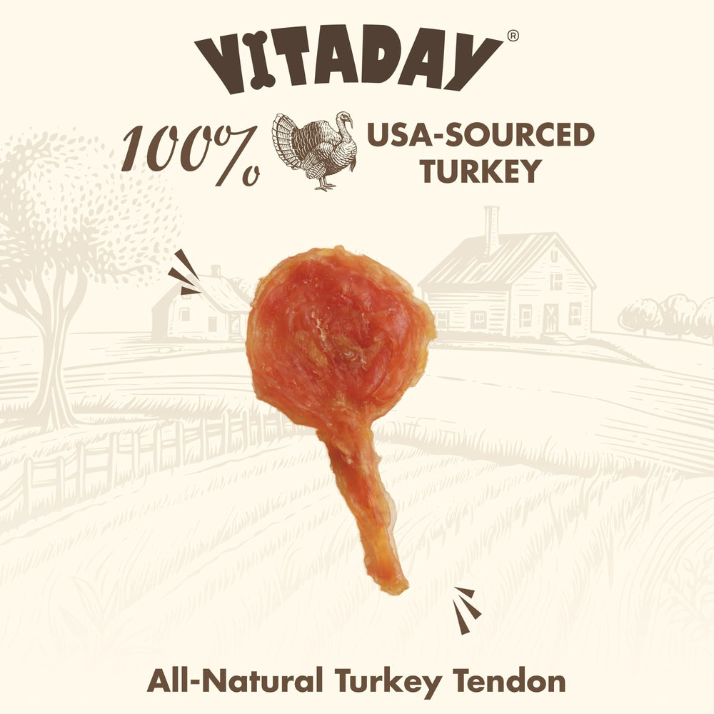 VITADAY tendones-pavo-lollipop-sin-granos, opción hipoalergénica para estómagos sensibles.