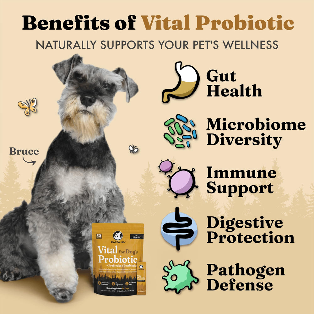 Vital Pet Life probióticos ingredientes clave del producto para perros