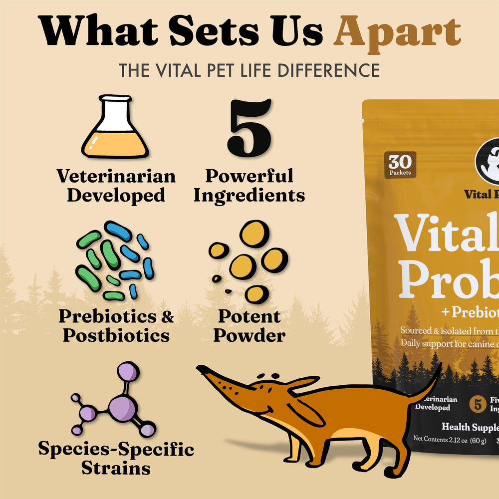 Vital Pet Life probióticos prebioticos postbioticos soporte para la salud intestinal