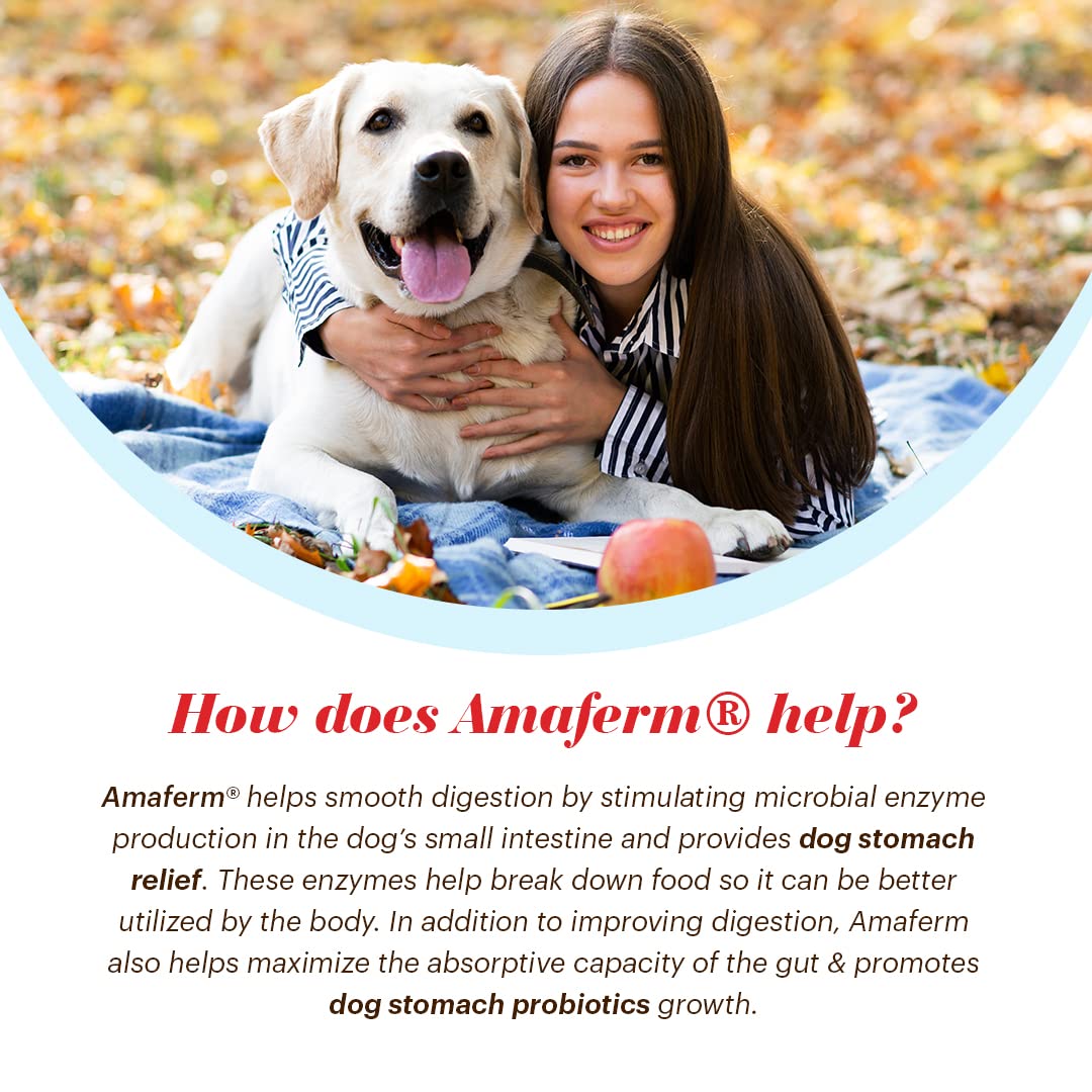 Vitalize Alimend K9 apoyo nutricional estómagos sensibles.