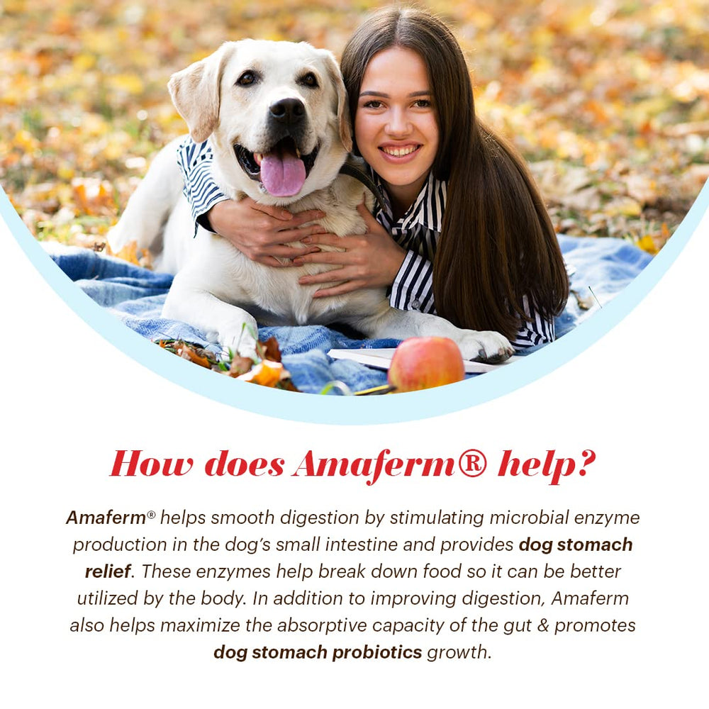 Vitalize Alimend K9 apoyo nutricional estómagos sensibles.