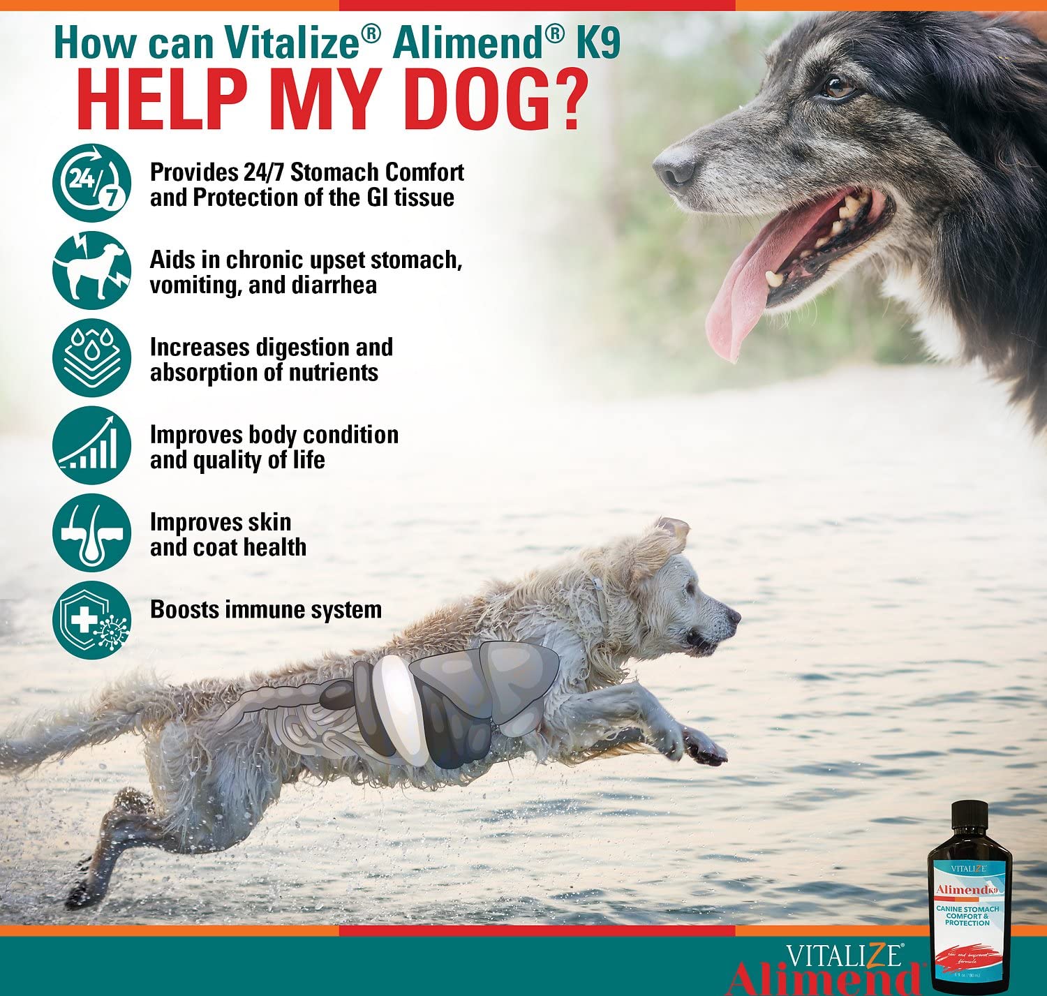 Vitalize Alimend K9 salud intestinal y bienestar del pelaje.