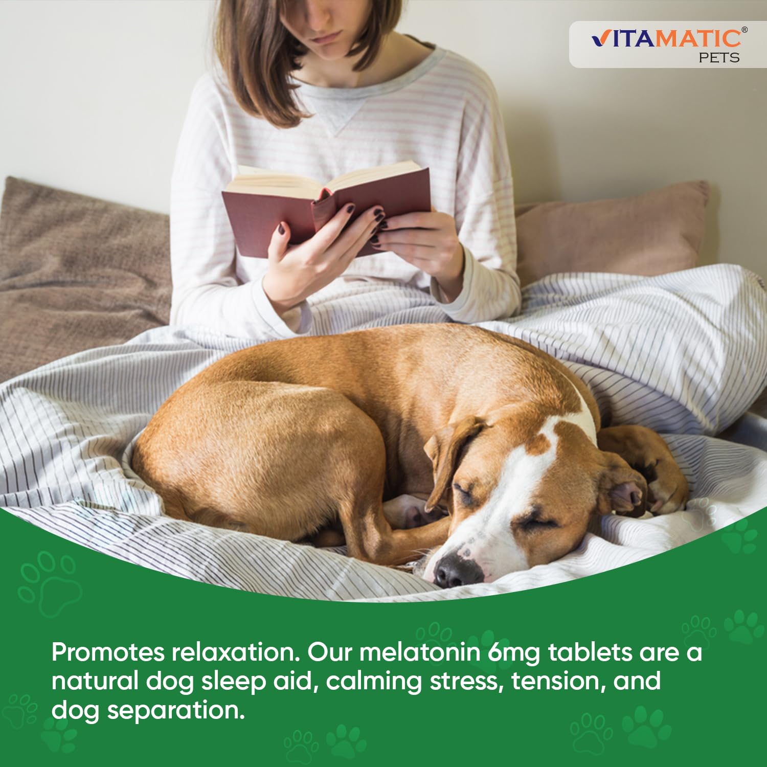 Vitamatic Melatonina para perros: uso en casa para apoyo a la relajación