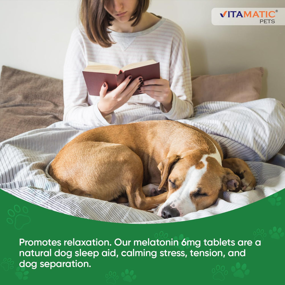 Vitamatic Melatonina para perros: uso en casa para apoyo a la relajación