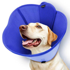 Cono Vithael para Perro, diseño de doble capa para mayor comodidad