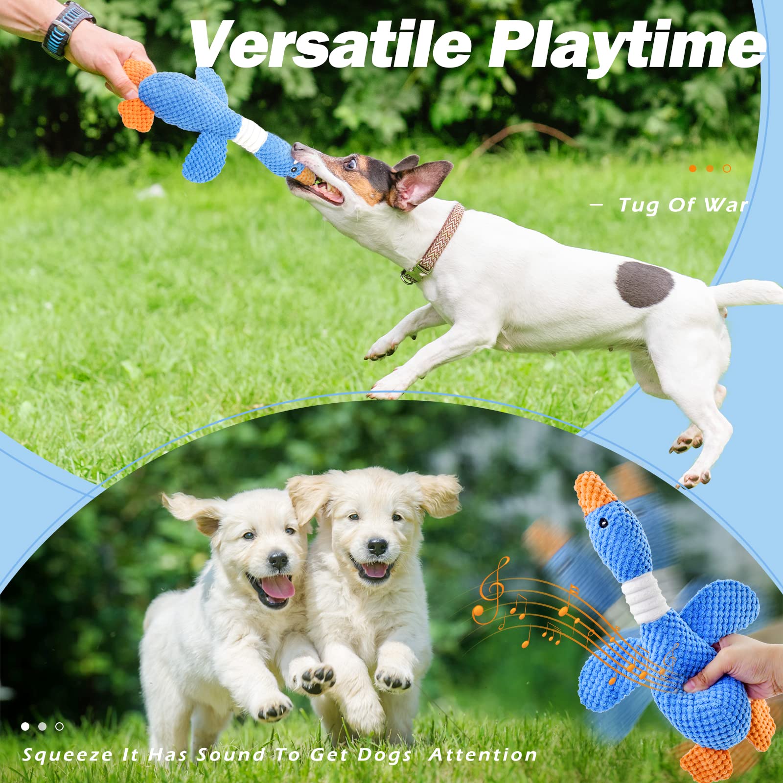 Juguete para perros de todos los tamaños con Vitscan.