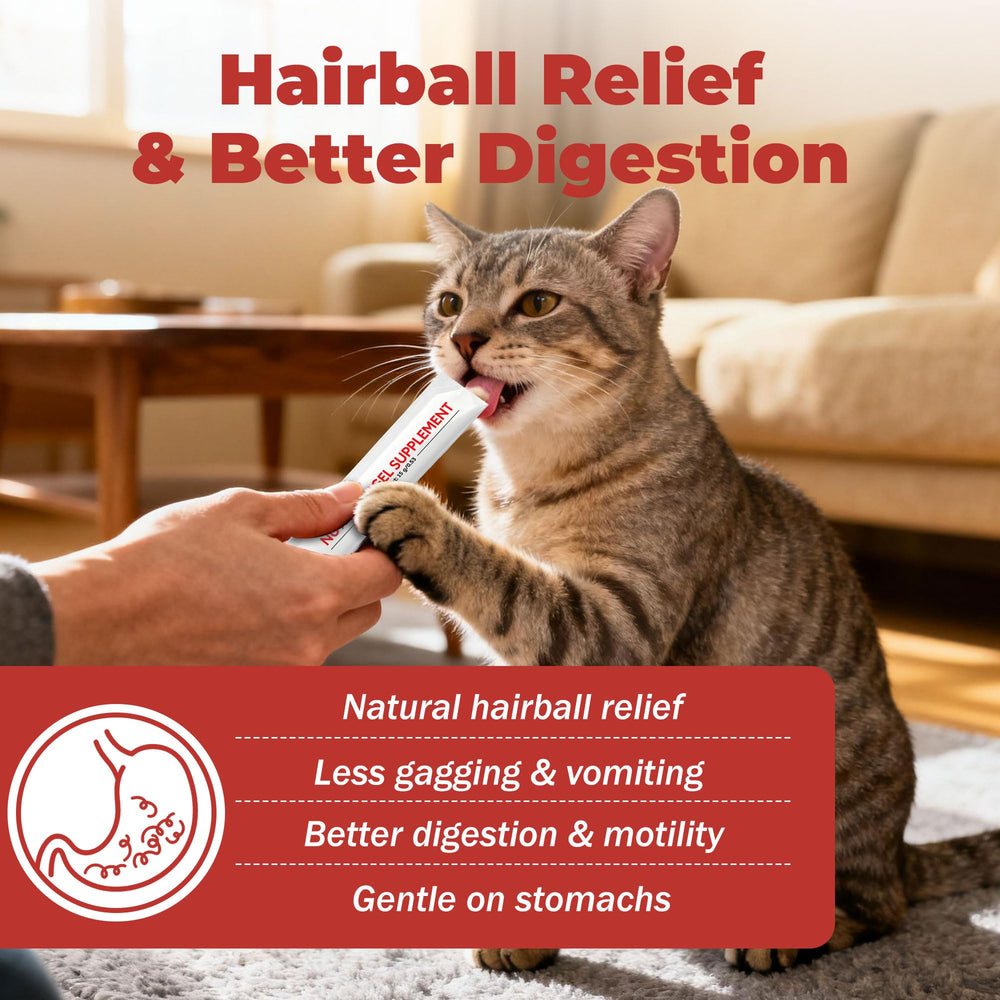 VivaElixir gel digestivo para gatos, textura suave y fácil de tomar