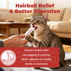 VivaElixir gel digestivo para gatos, textura suave y fácil de tomar