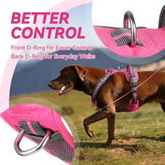 Arnés VIVAGLORY EaseWalk con clip trasero para paseos diarios sin tirones.