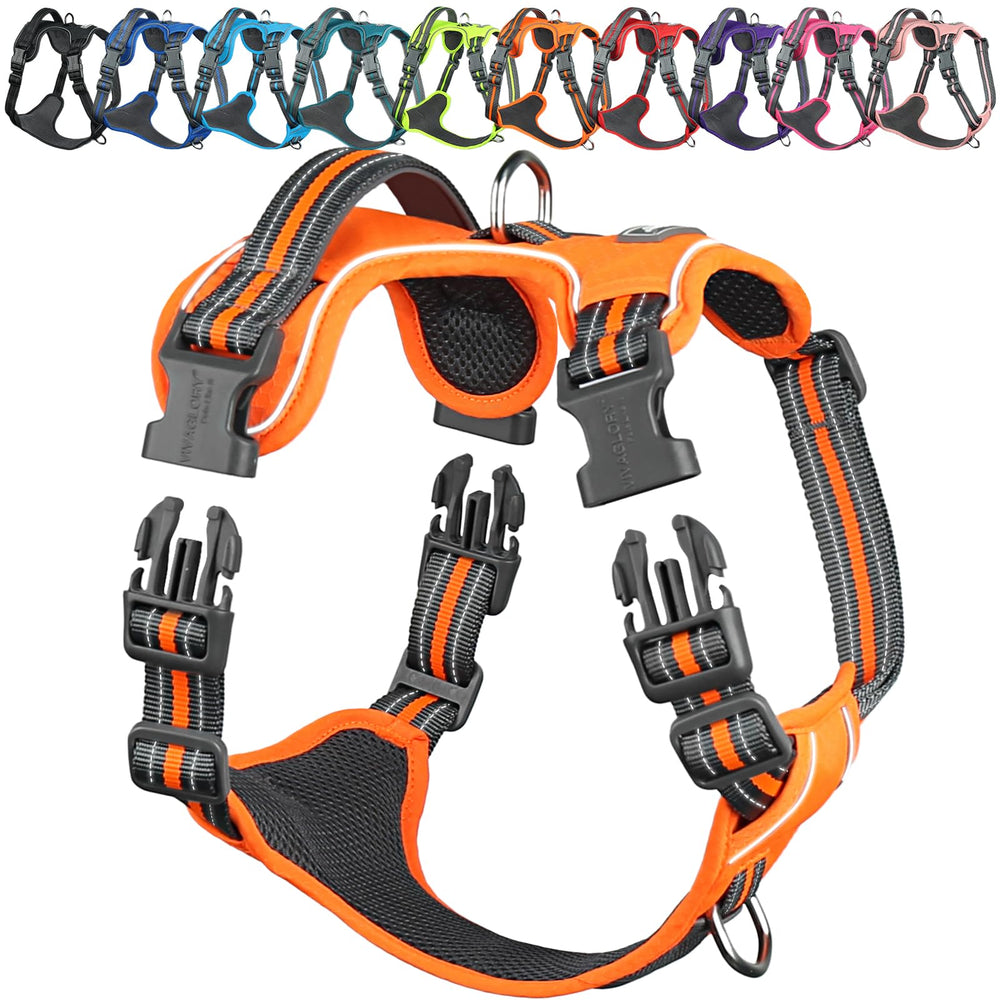 Arnés VIVAGLORY EaseWalk con gancho frontal para entrenamiento y control suave.