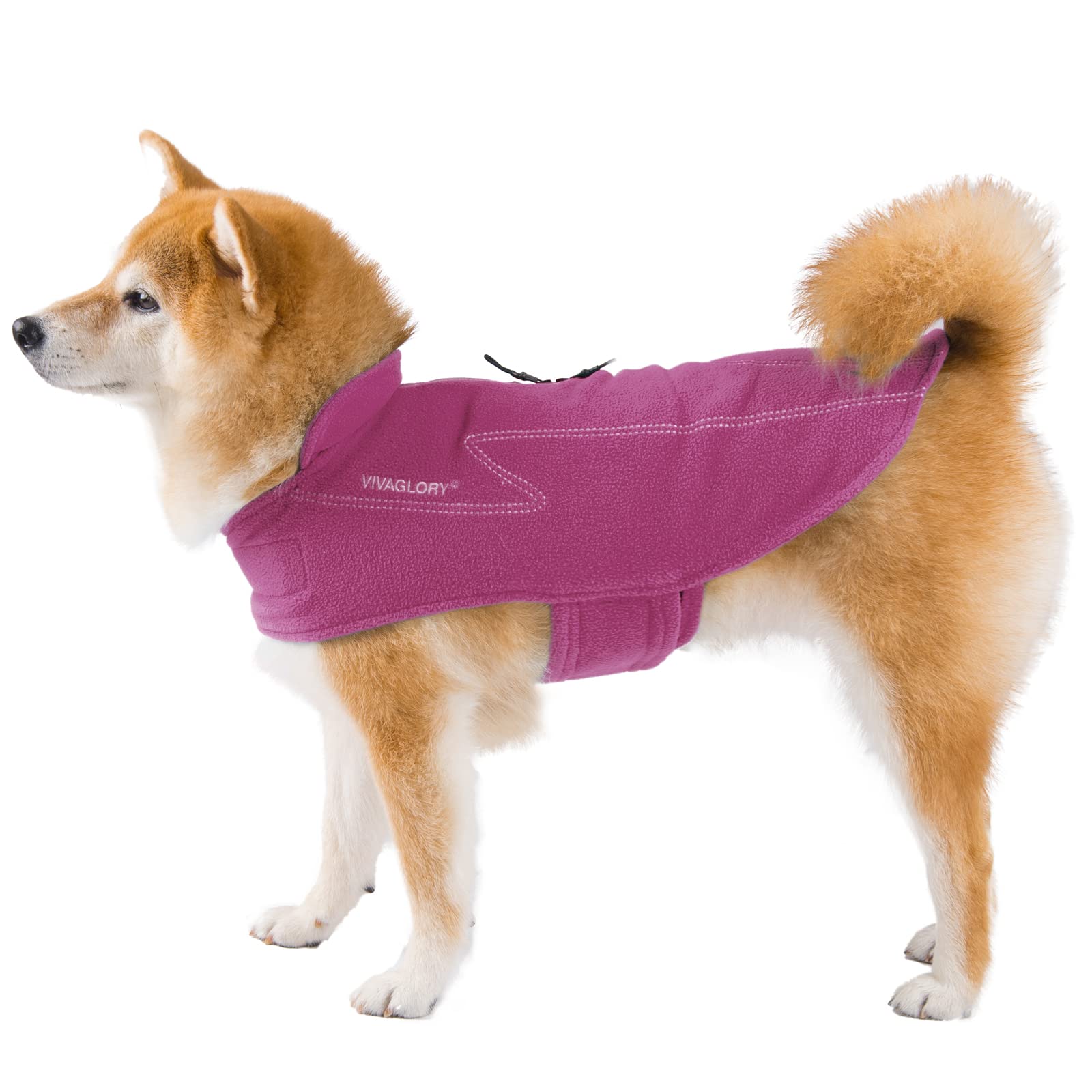 Capa de perro VIVAGLORY diseño estiloso y corte preciso.