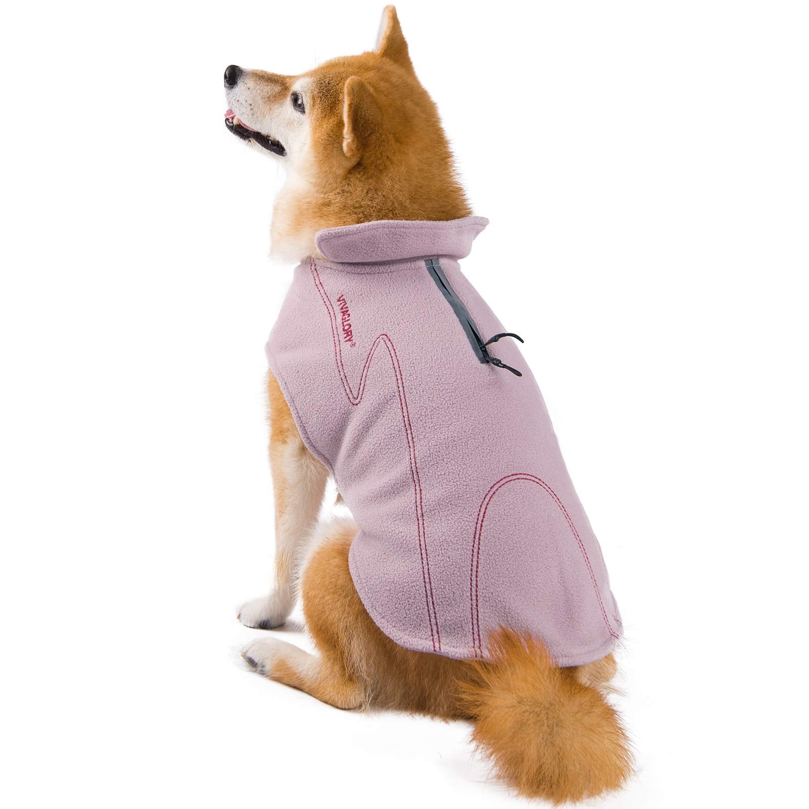 Diseño elegante de VIVAGLORY para que la mascota luzca bien al salir.