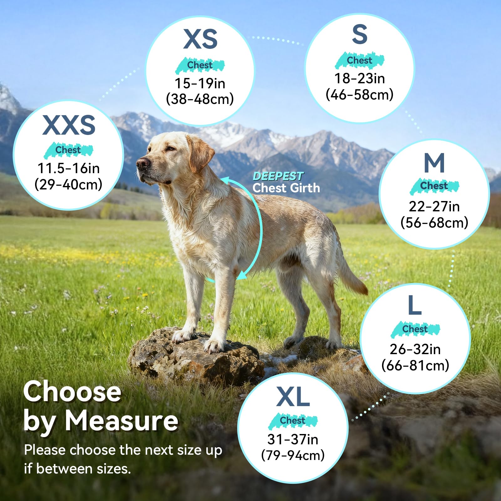 Aptas para perros de todos los tamaños en climas fríos.
