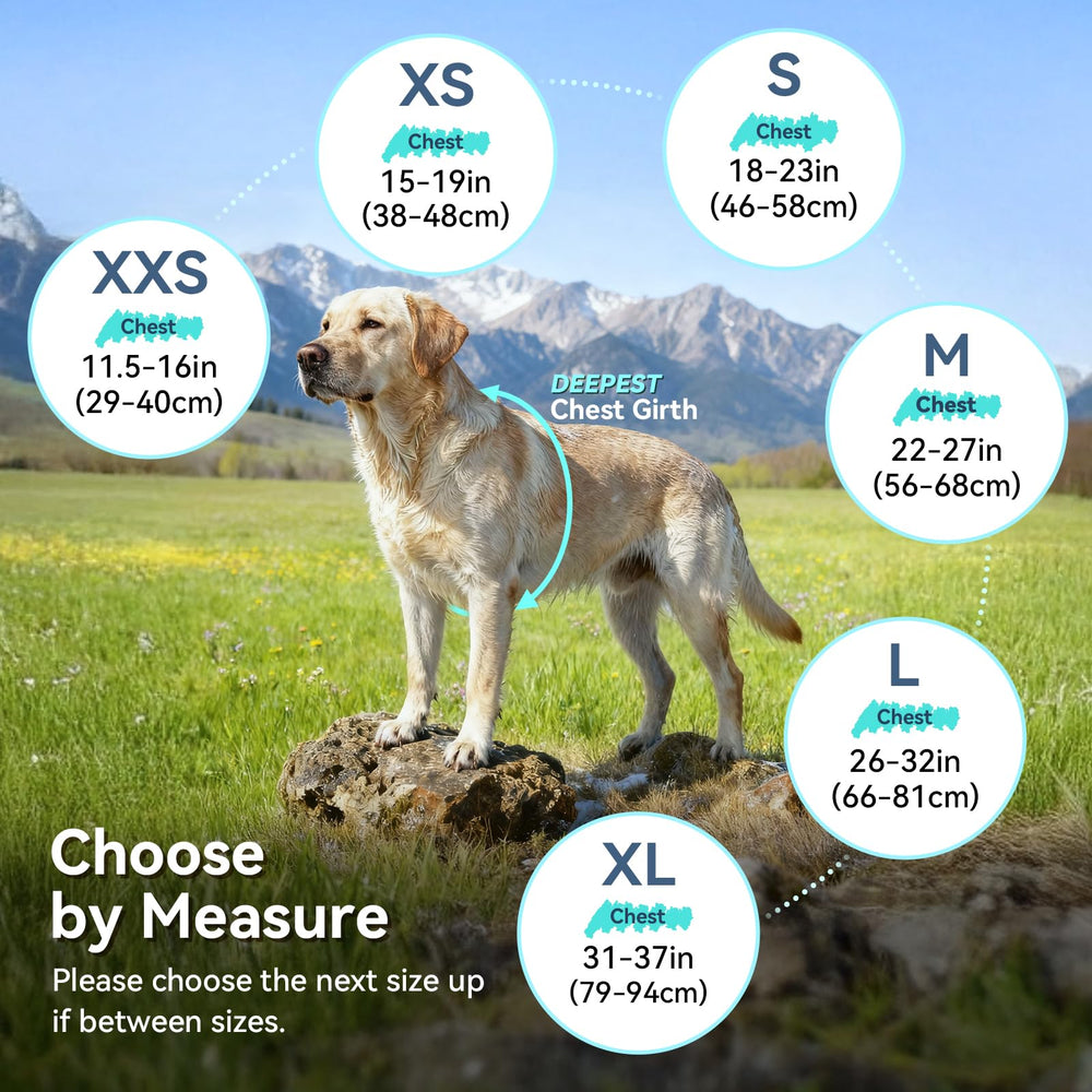 Aptas para perros de todos los tamaños en climas fríos.