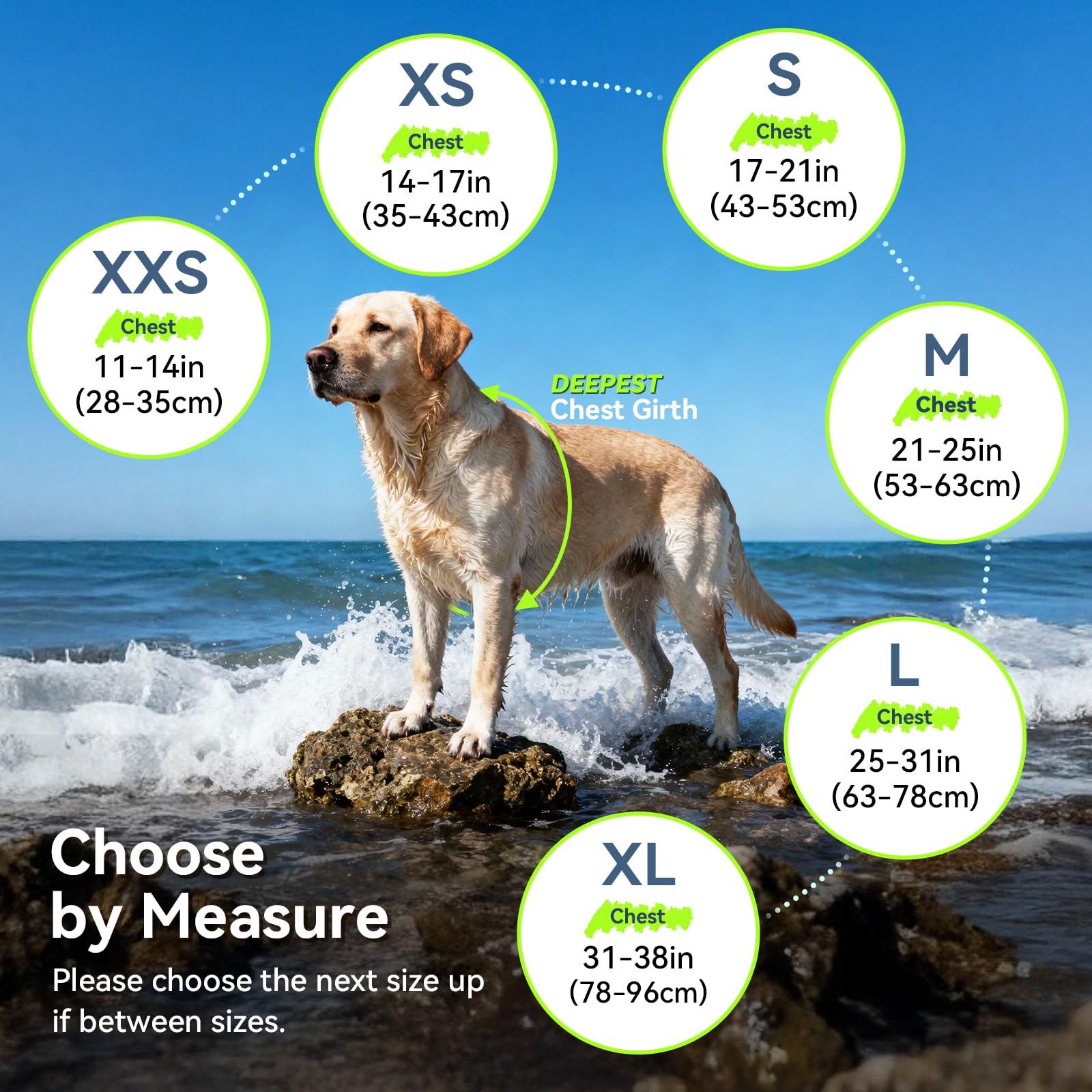 Uso en agua: perro usando chaleco VIVAGLORY para seguridad.