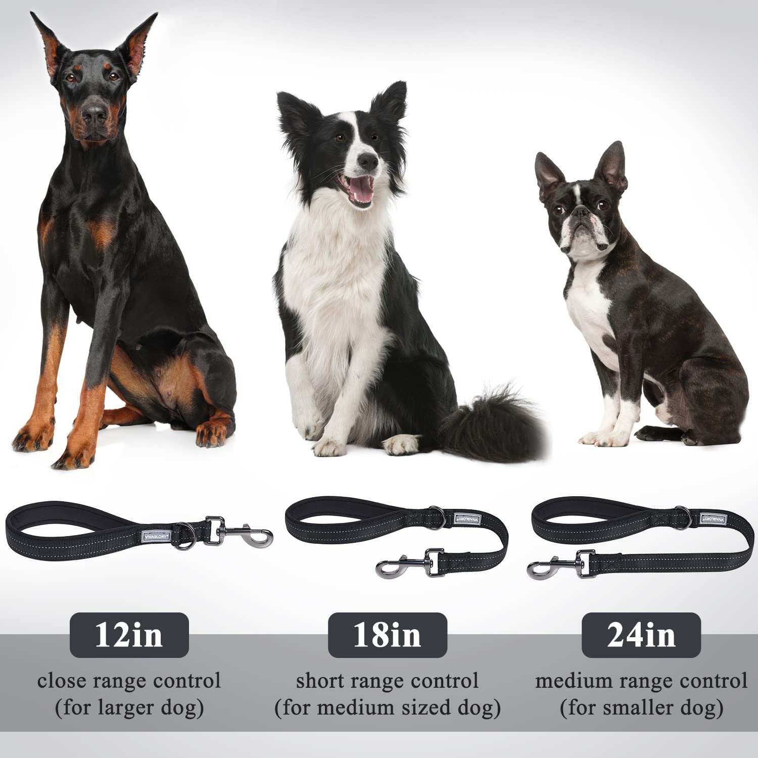 VIVAGLORY correa corta en doce pulgadas para perros medianos