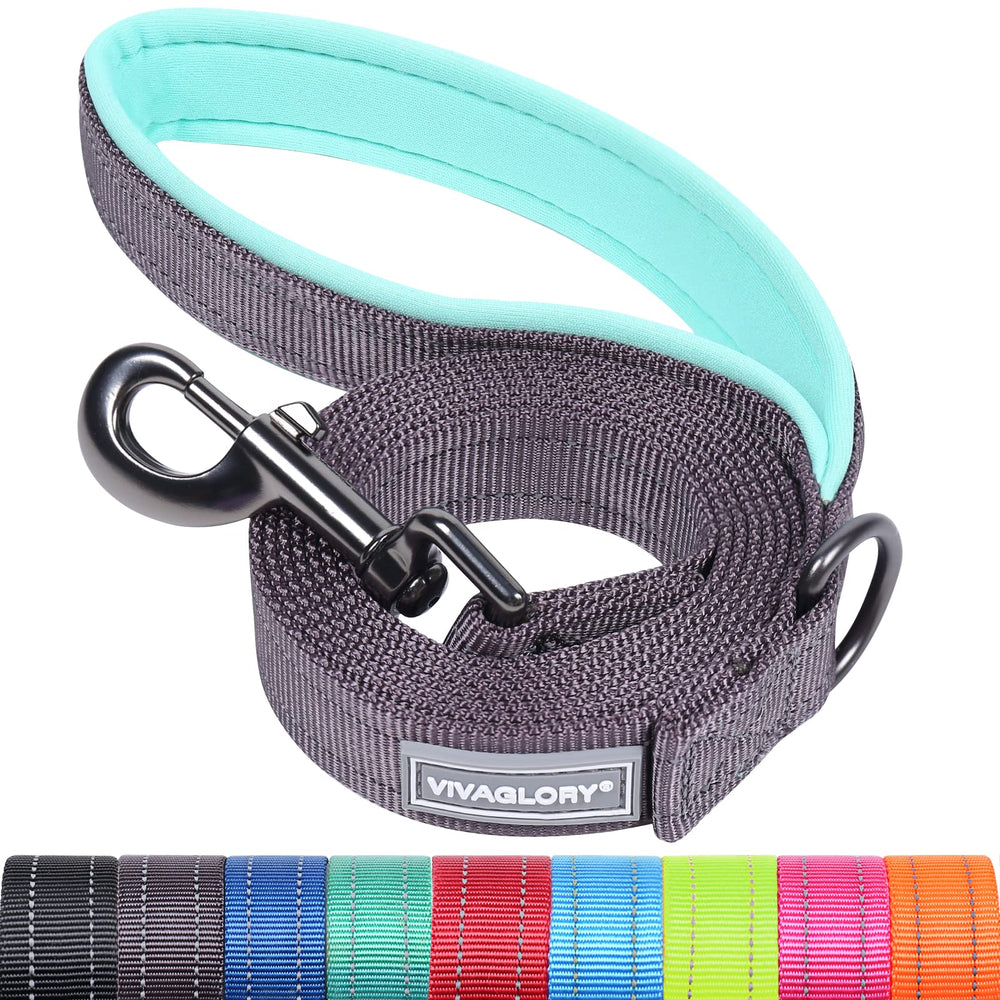 VIVAGLORY Dailyx con asa acolchada para paseos cómodos del perro