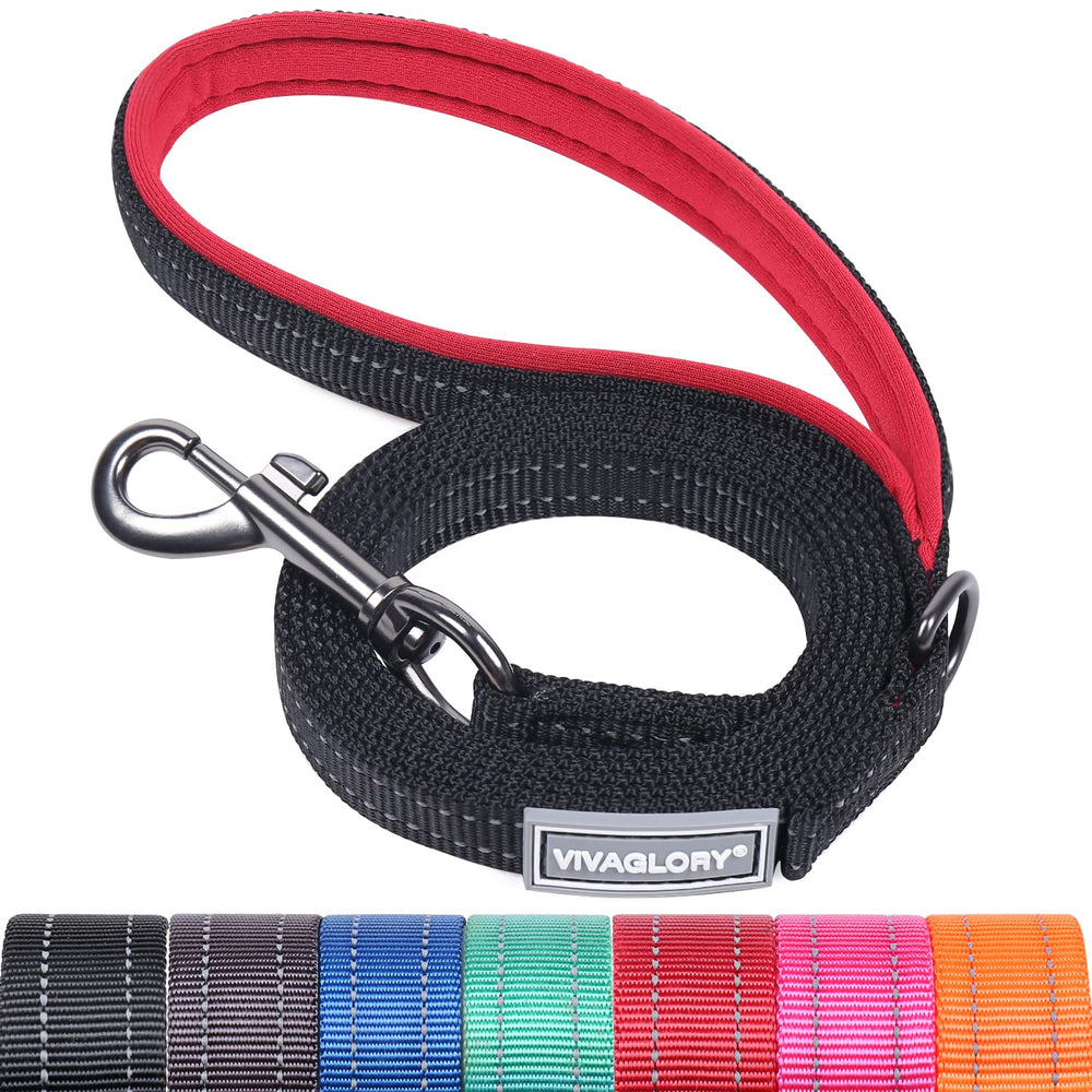 VIVAGLORY Dailyx con asa de neopreno para paseos cómodos y seguros.