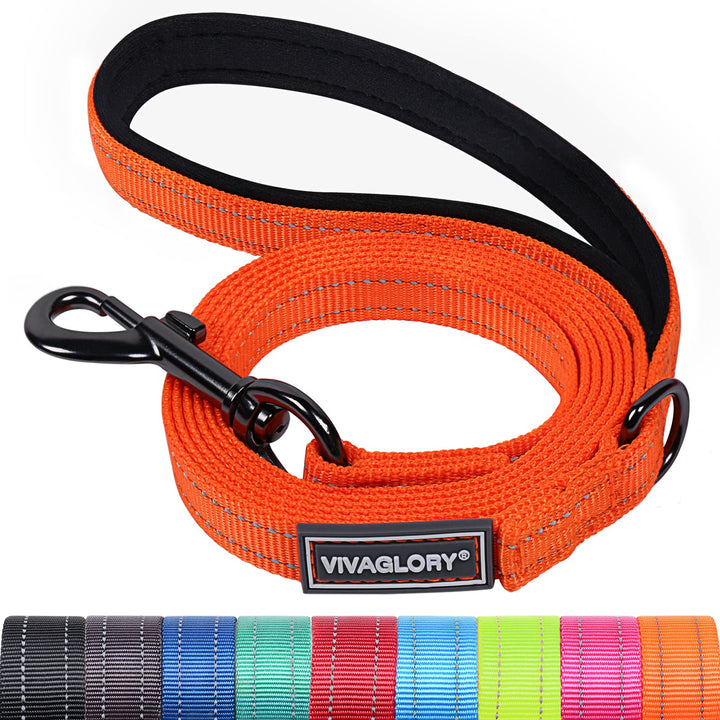 Correa VIVAGLORY Dailyx con mango acolchado para paseos cómodos y control suave.