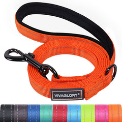 Correa VIVAGLORY Dailyx con mango acolchado para paseos cómodos y control suave.
