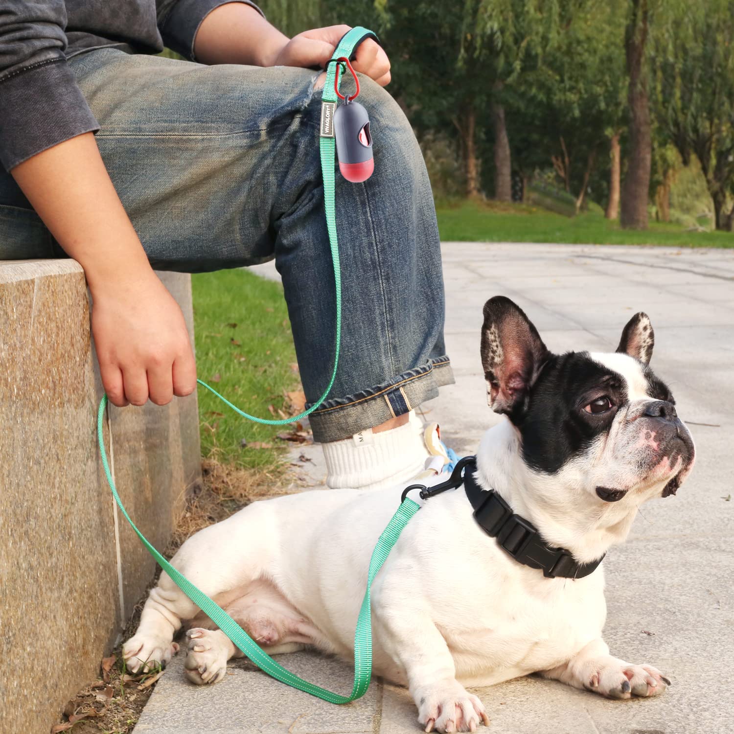 VIVAGLORY Dailyx: uso diario cómodo y práctico para entrenar y pasear.