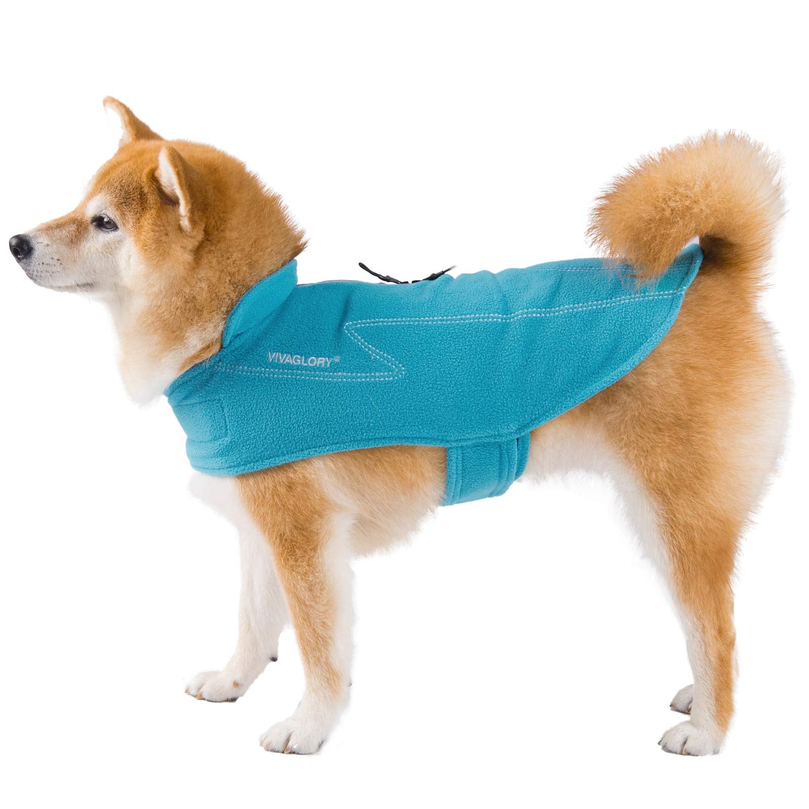 VIVAGLORY diseño ergonómico y suave para un ajuste cómodo.
