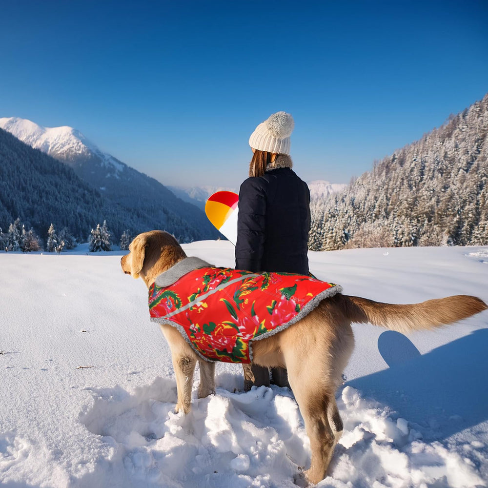 VIVAGLORY Snowrap tallas variadas para ajuste cómodo en perros pequeños y grandes