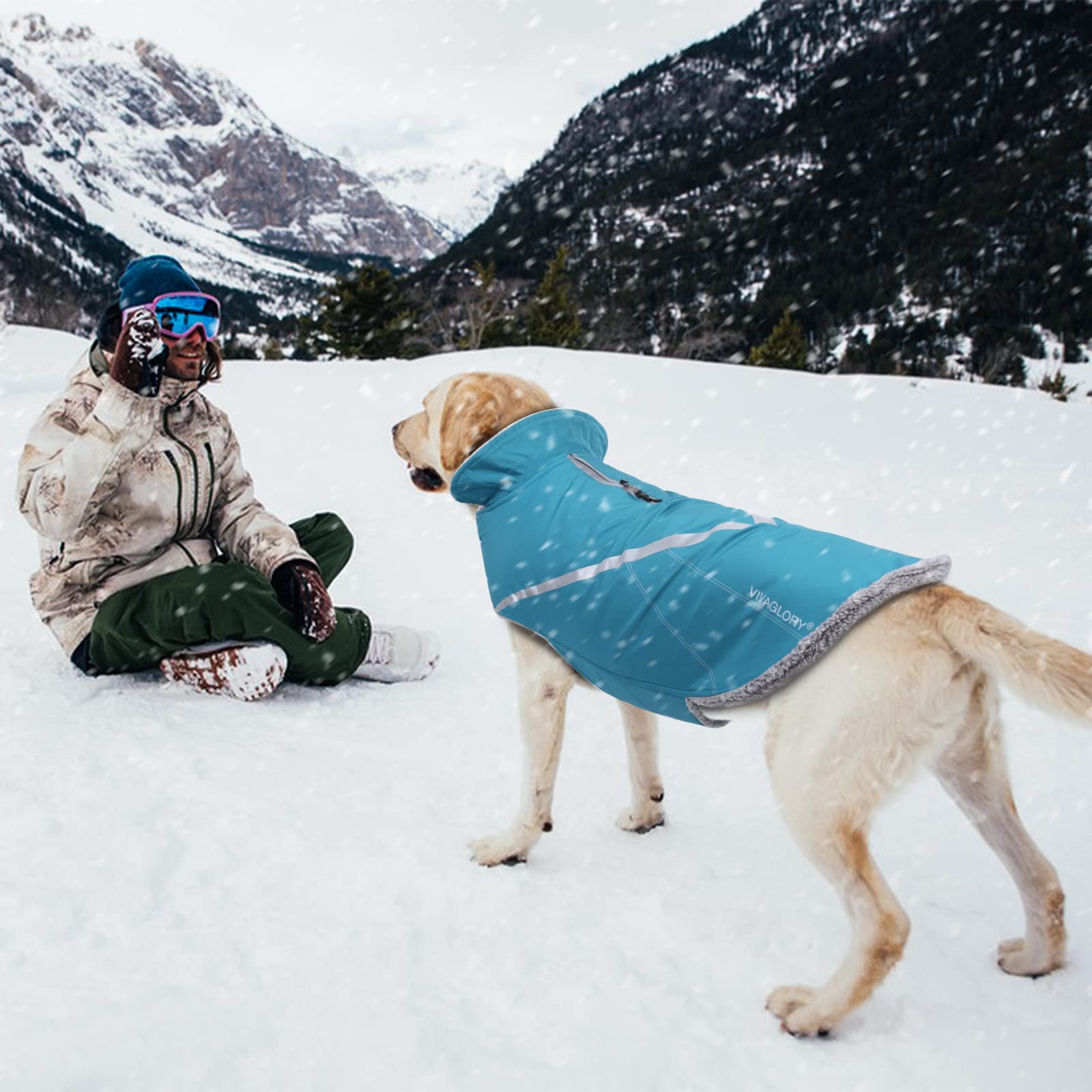 VIVAGLORY Snowrap, disponible en varias tallas para perros de todos los tamaños.