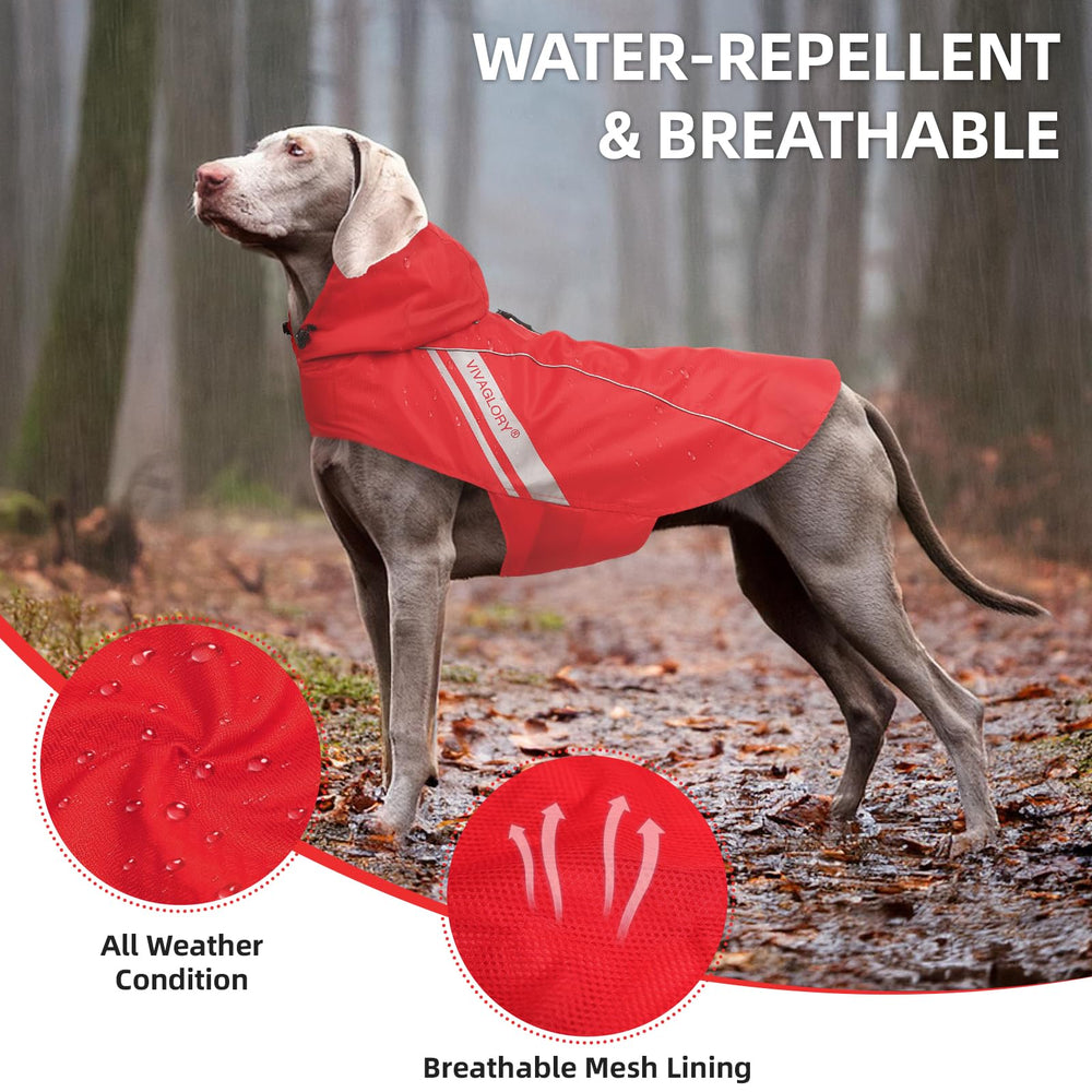 Capucha ajustable de VIVAGLORY Wetoff mantiene la cabeza del perro seca.