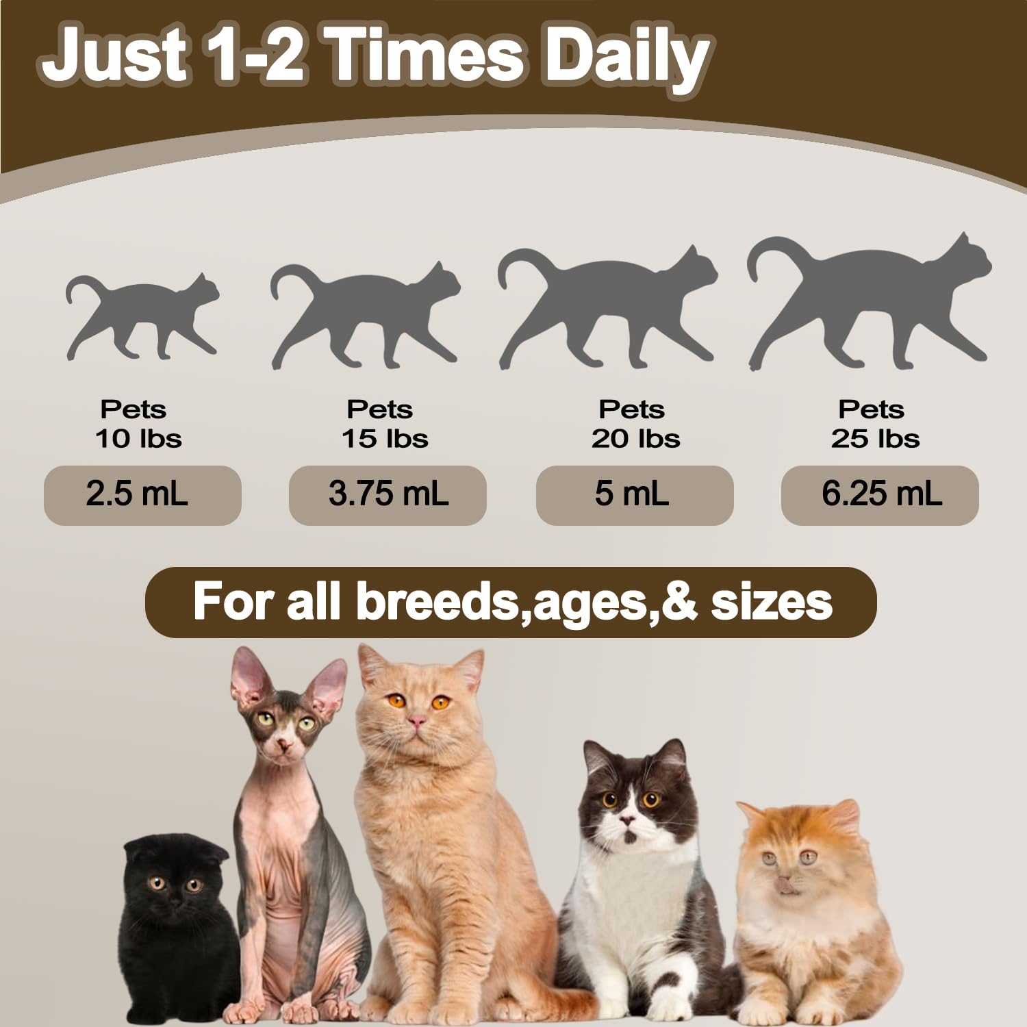Mezclar con comida facilita dosis diaria para gatos con VivelysZoa.