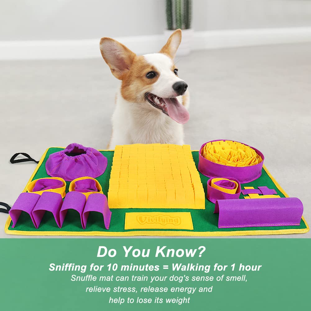 Alfombra de olfato Vivifying apta para gatos y perros