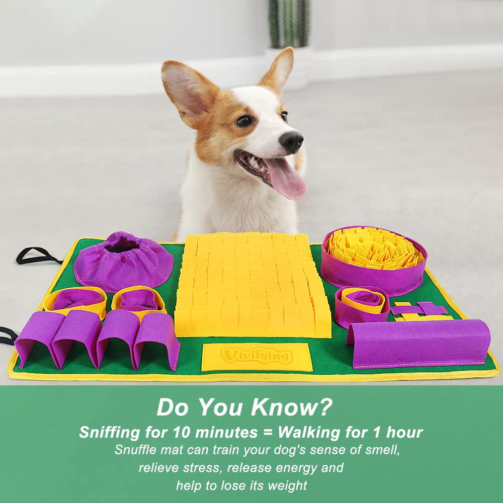 Alfombra de olfato Vivifying apta para gatos y perros
