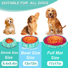 Vivifying alfombra olfativa: materiales seguros para mascotas y juego diario.