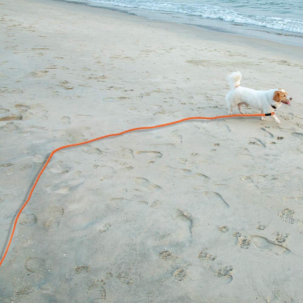 Vivifying correa perro naranja para mayor visibilidad